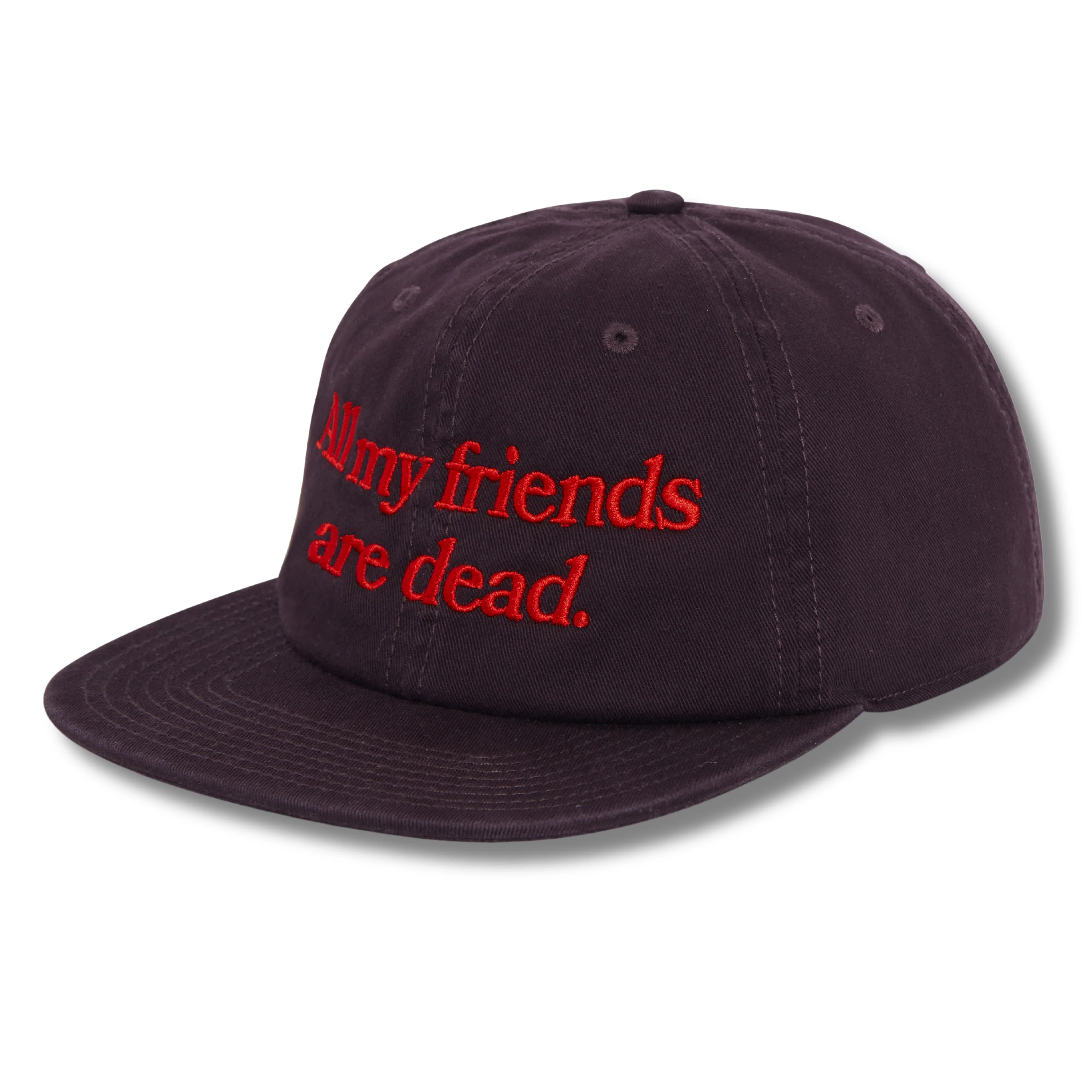 ALL MY FRIENDS ARE DEAD CAP - PLUM