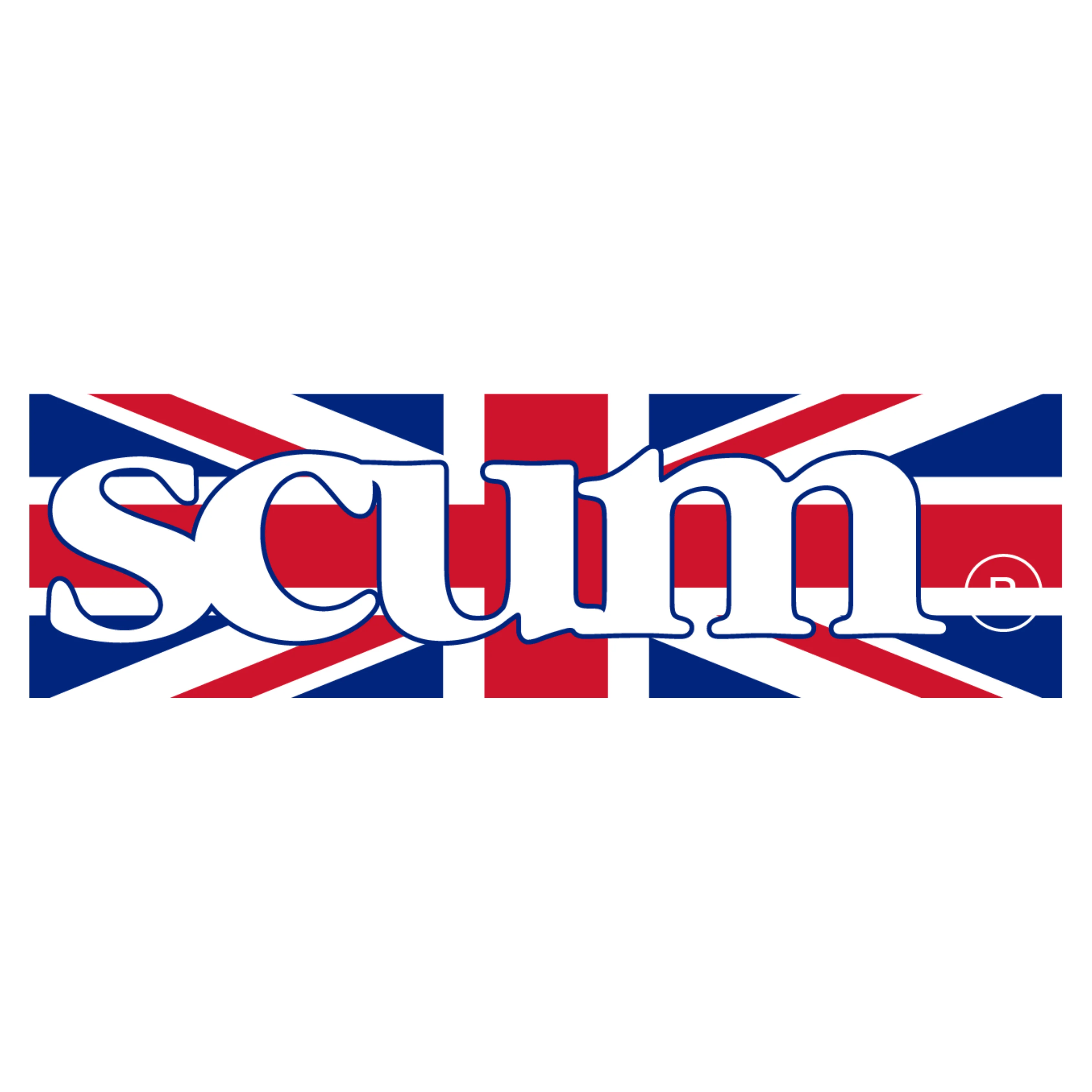 SCUM BOX LOGO FLAG YOU SLAG STICKER
